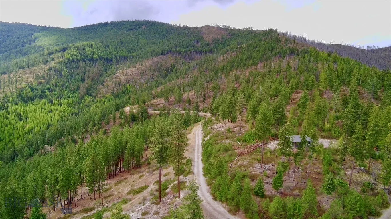 0 W Fork Combest Creek Road, Plains, Montana 59859, Plains, Montana 59859, ,Land,For Sale,0 W Fork Combest Creek Road, Plains, Montana 59859,0,406323