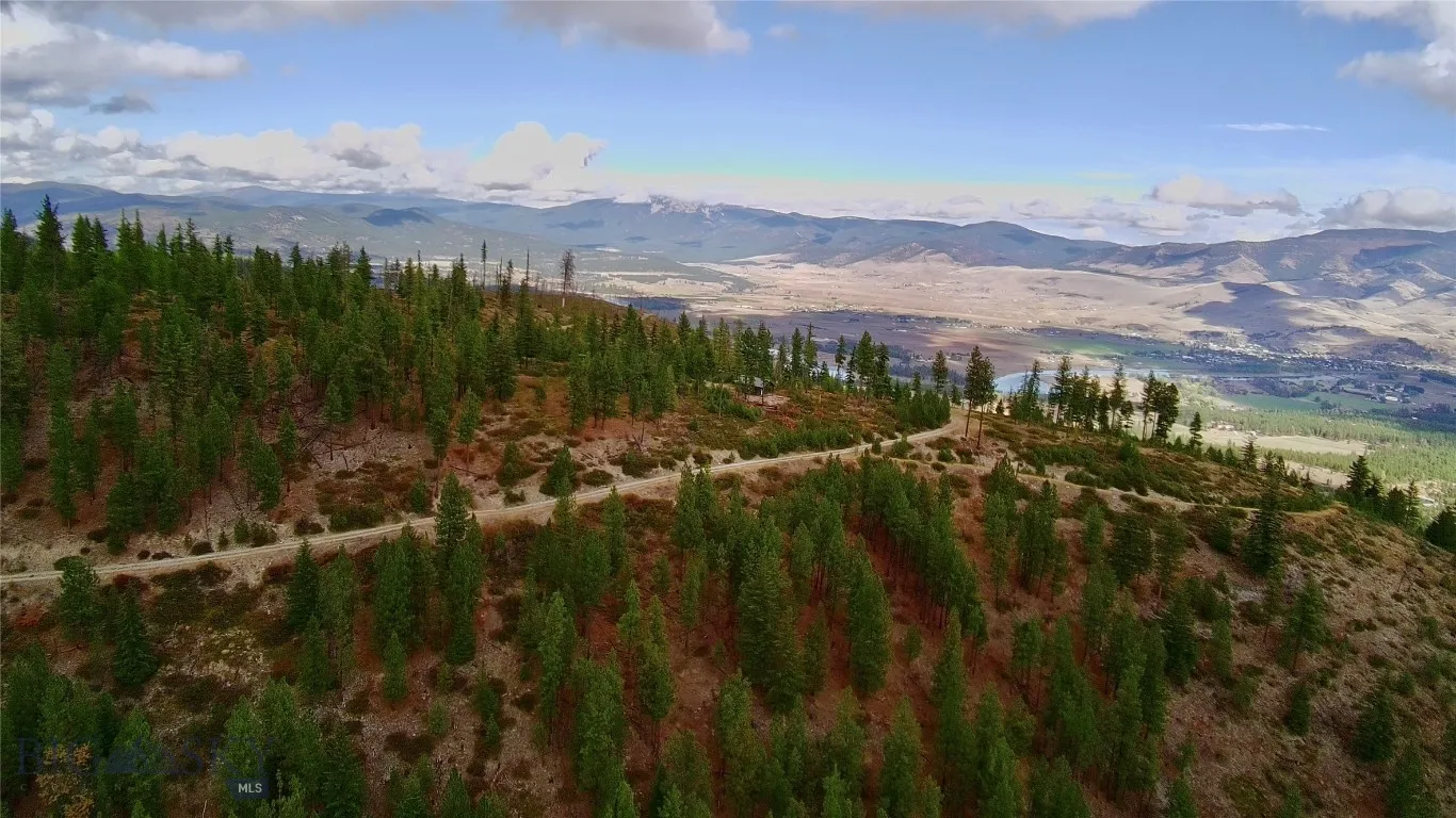 0 W Fork Combest Creek Road, Plains, Montana 59859, Plains, Montana 59859, ,Land,For Sale,0 W Fork Combest Creek Road, Plains, Montana 59859,0,406323