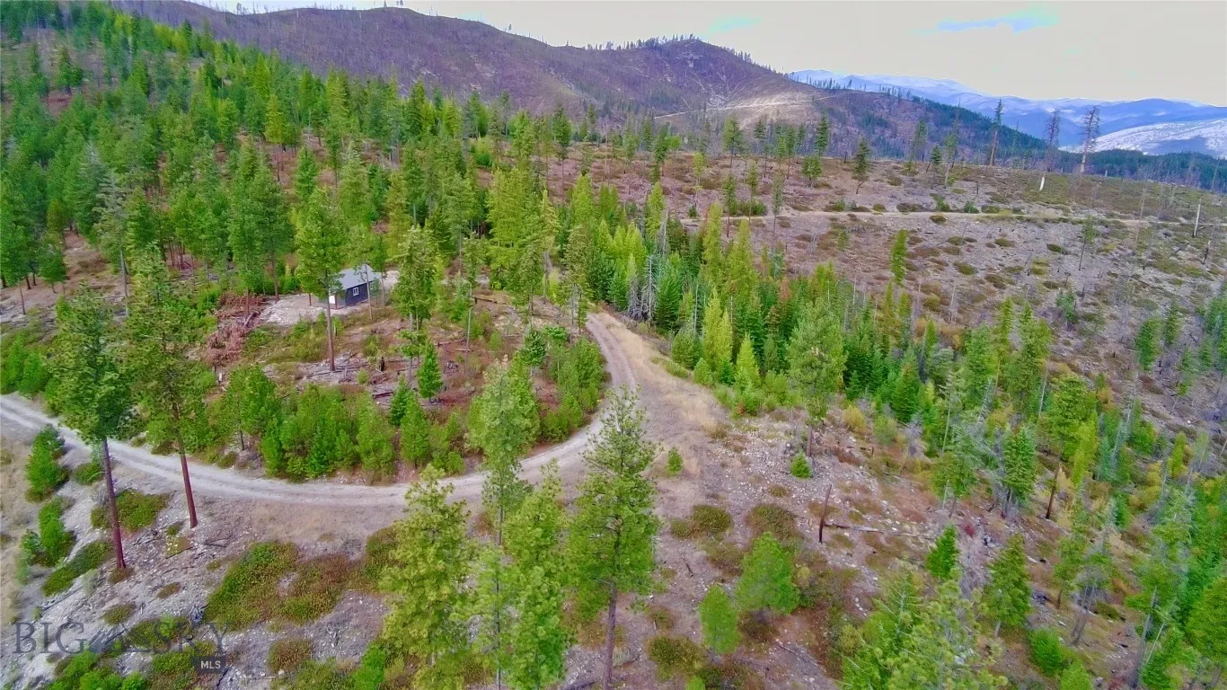 0 W Fork Combest Creek Road, Plains, Montana 59859, Plains, Montana 59859, ,Land,For Sale,0 W Fork Combest Creek Road, Plains, Montana 59859,0,406323