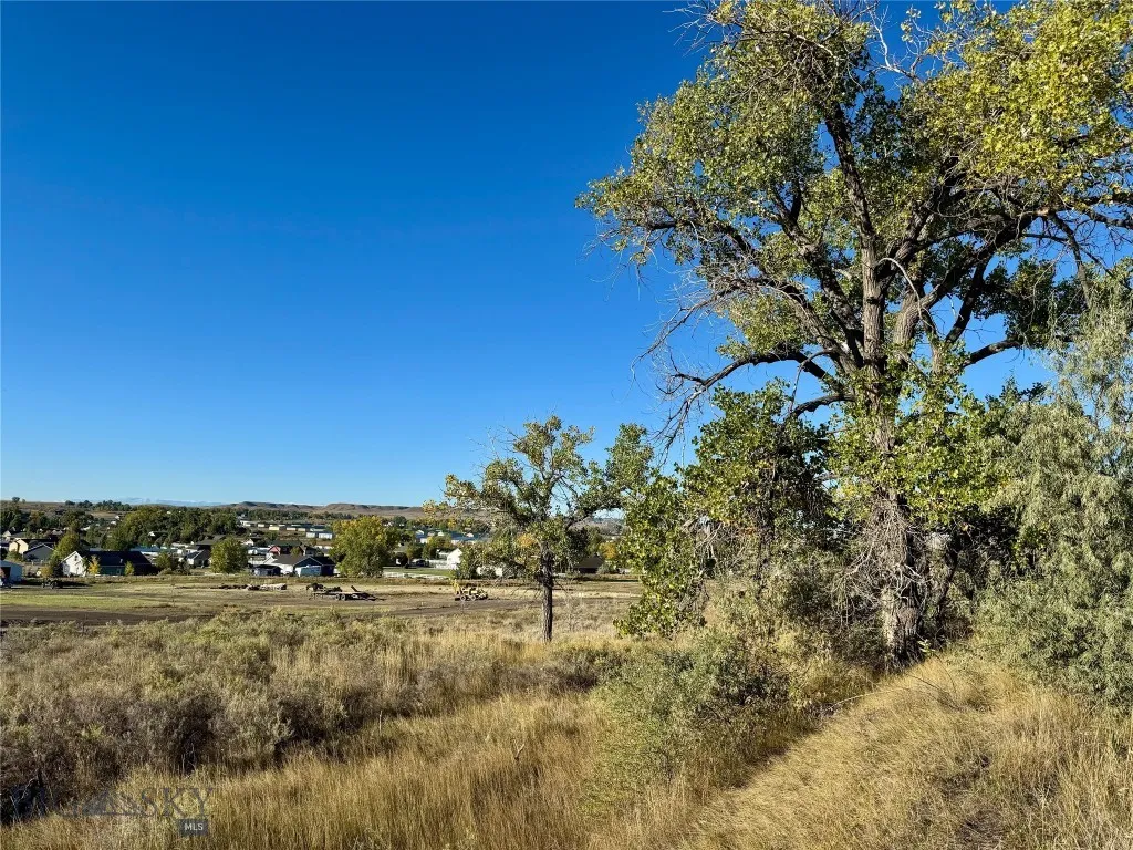 Billings, Montana 59106, ,Land,For Sale,0,406318