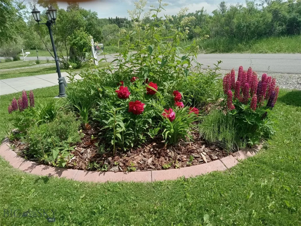 perennials in front yard