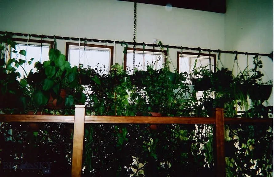 plants flourish in this home
