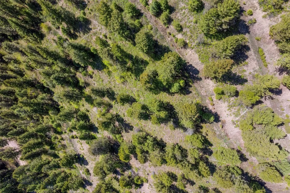 25575 Patter Spur Road, Clinton, Montana 59825, Clinton, Montana 59825, ,Land,For Sale,25575 Patter Spur Road, Clinton, Montana 59825,0,406381