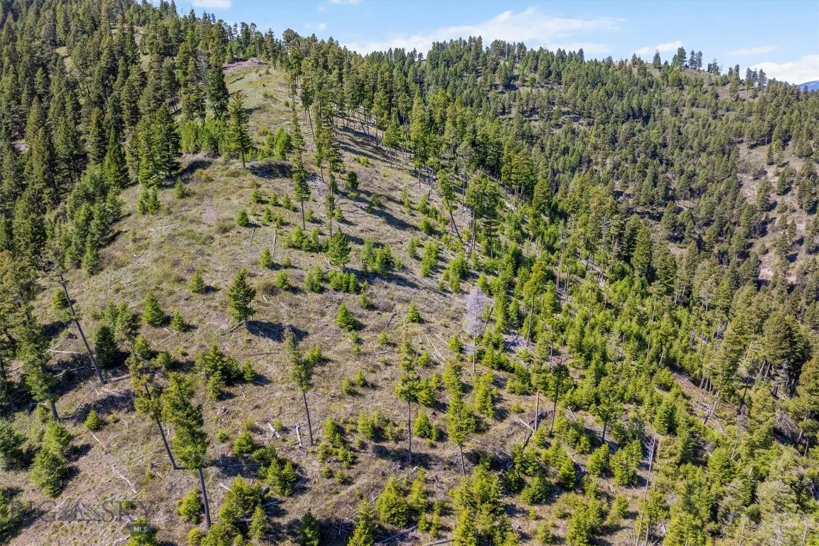 25575 Patter Spur Road, Clinton, Montana 59825, Clinton, Montana 59825, ,Land,For Sale,25575 Patter Spur Road, Clinton, Montana 59825,0,406381