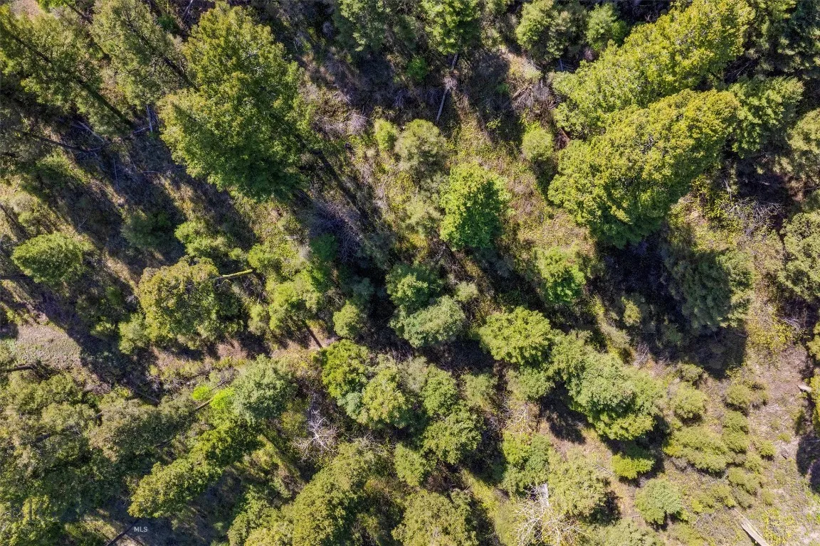 25575 Patter Spur Road, Clinton, Montana 59825, Clinton, Montana 59825, ,Land,For Sale,25575 Patter Spur Road, Clinton, Montana 59825,0,406381