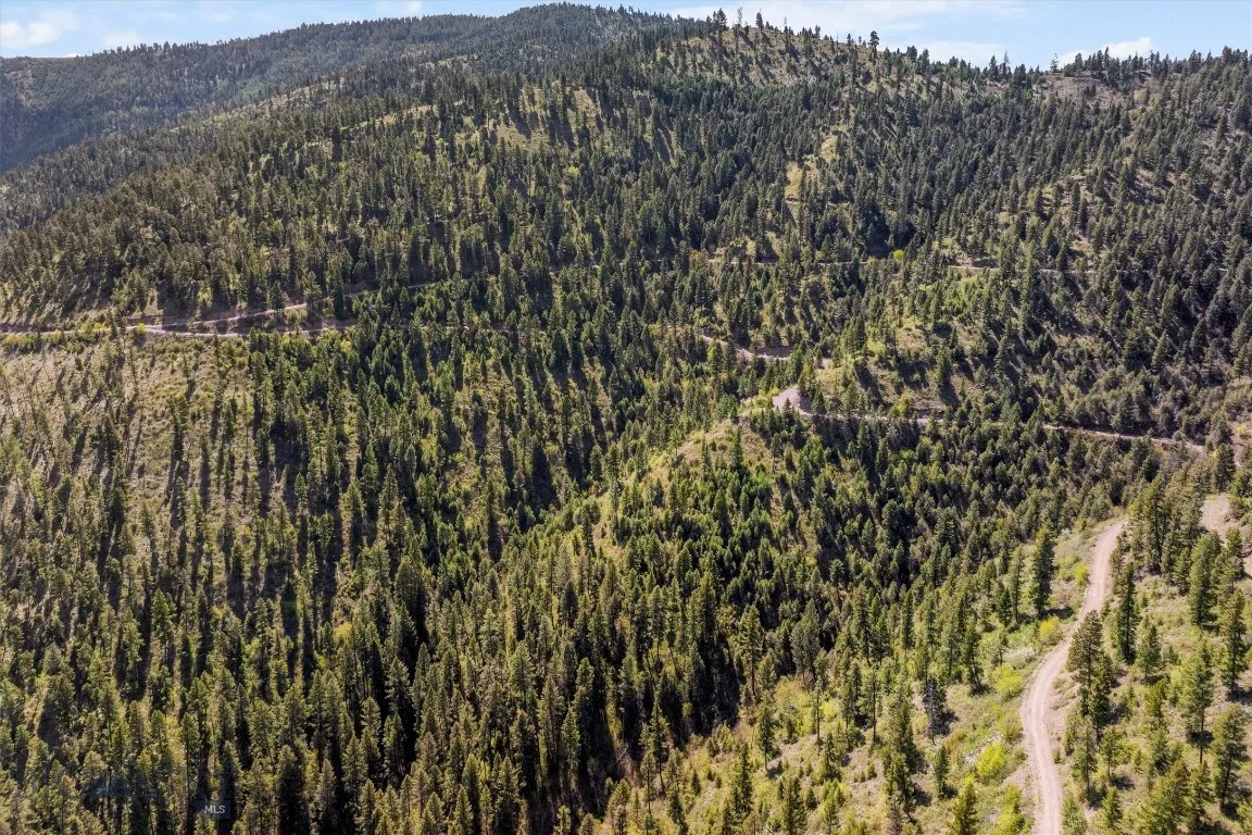 25575 Patter Spur Road, Clinton, Montana 59825, Clinton, Montana 59825, ,Land,For Sale,25575 Patter Spur Road, Clinton, Montana 59825,0,406381
