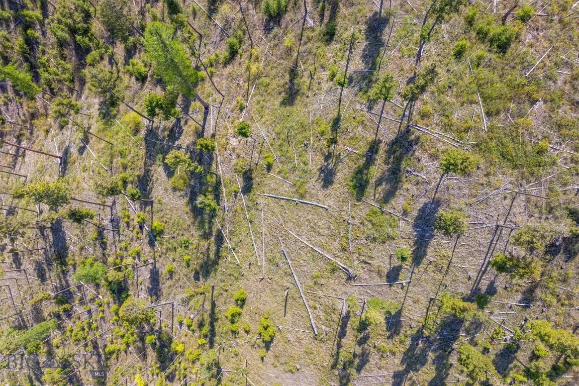 25575 Patter Spur Road, Clinton, Montana 59825, Clinton, Montana 59825, ,Land,For Sale,25575 Patter Spur Road, Clinton, Montana 59825,0,406381