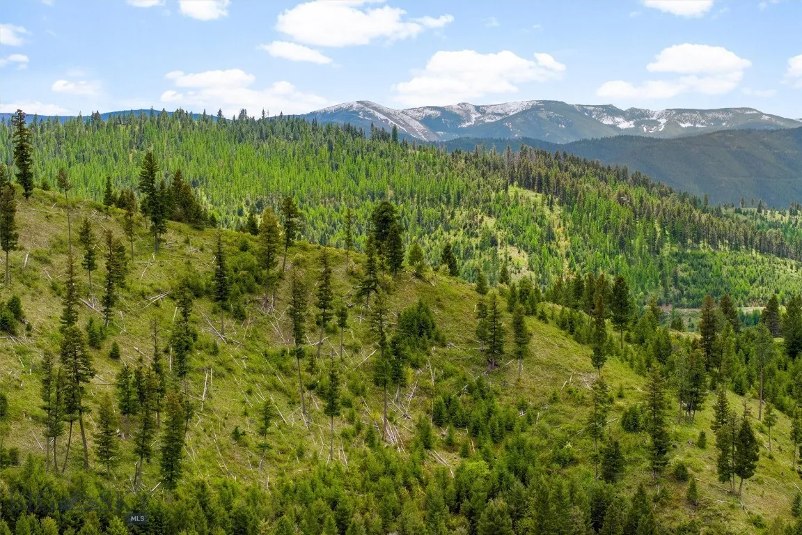 25575 Patter Spur Road, Clinton, Montana 59825, Clinton, Montana 59825, ,Land,For Sale,25575 Patter Spur Road, Clinton, Montana 59825,0,406381