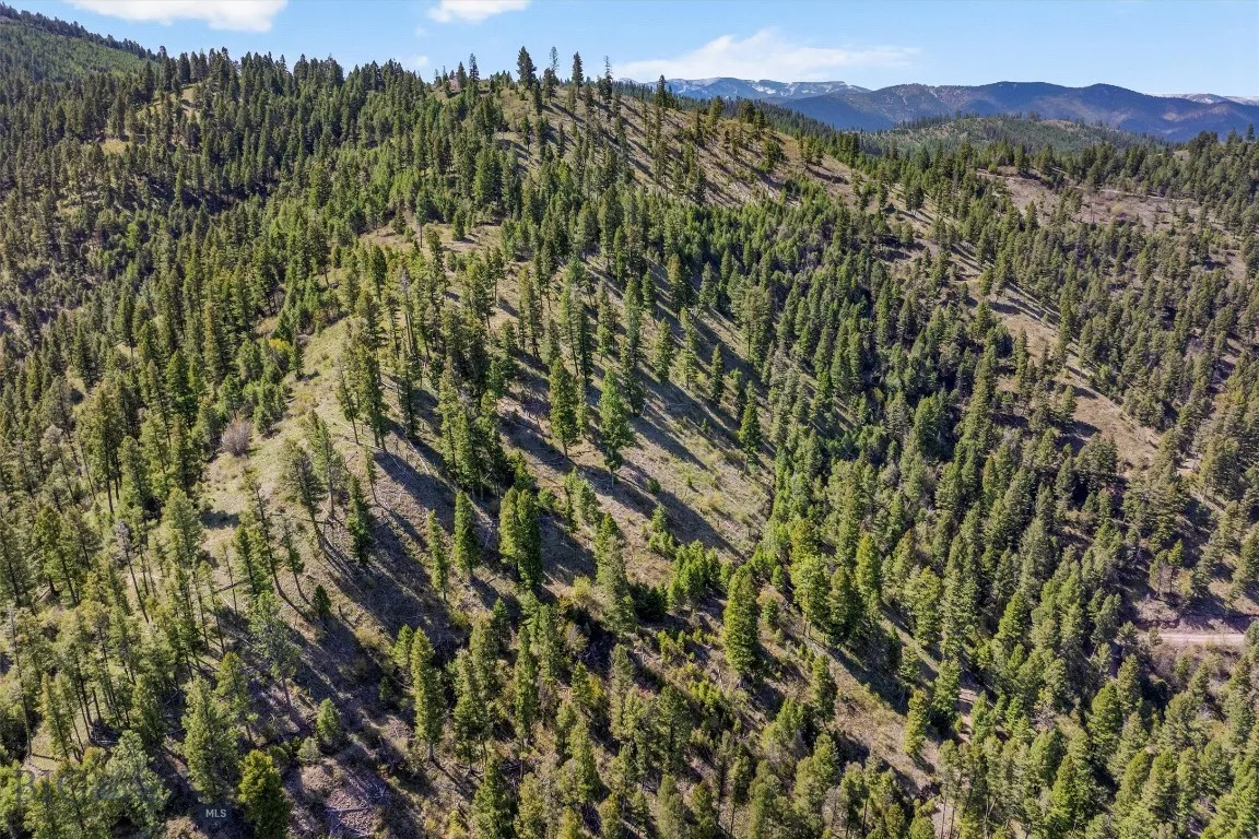 25575 Patter Spur Road, Clinton, Montana 59825, Clinton, Montana 59825, ,Land,For Sale,25575 Patter Spur Road, Clinton, Montana 59825,0,406381