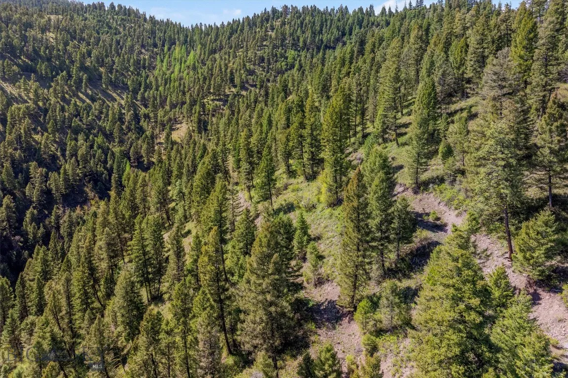 25575 Patter Spur Road, Clinton, Montana 59825, Clinton, Montana 59825, ,Land,For Sale,25575 Patter Spur Road, Clinton, Montana 59825,0,406381