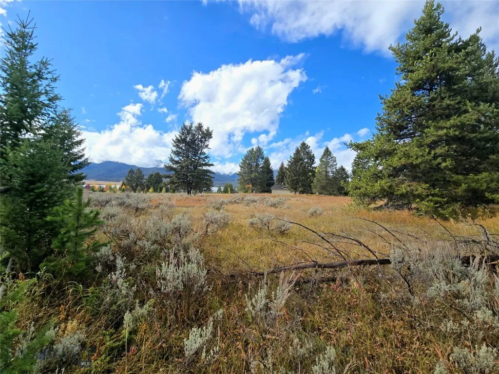 170 Loop Lane, West Yellowstone, Montana 59758, West Yellowstone, Montana 59758, 3 Bedrooms Bedrooms, ,2 BathroomsBathrooms,Residential,For Sale,170 Loop Lane, West Yellowstone, Montana 59758,0,406407