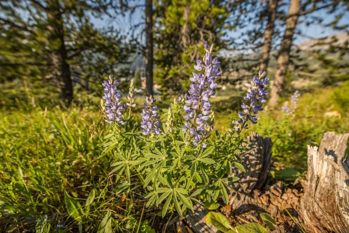 Tbd Washaki Lot 23 Road, Big Sky, Montana 59716, Big Sky, Montana 59716, ,Land,For Sale,Tbd Washaki Lot 23 Road, Big Sky, Montana 59716,0,406445