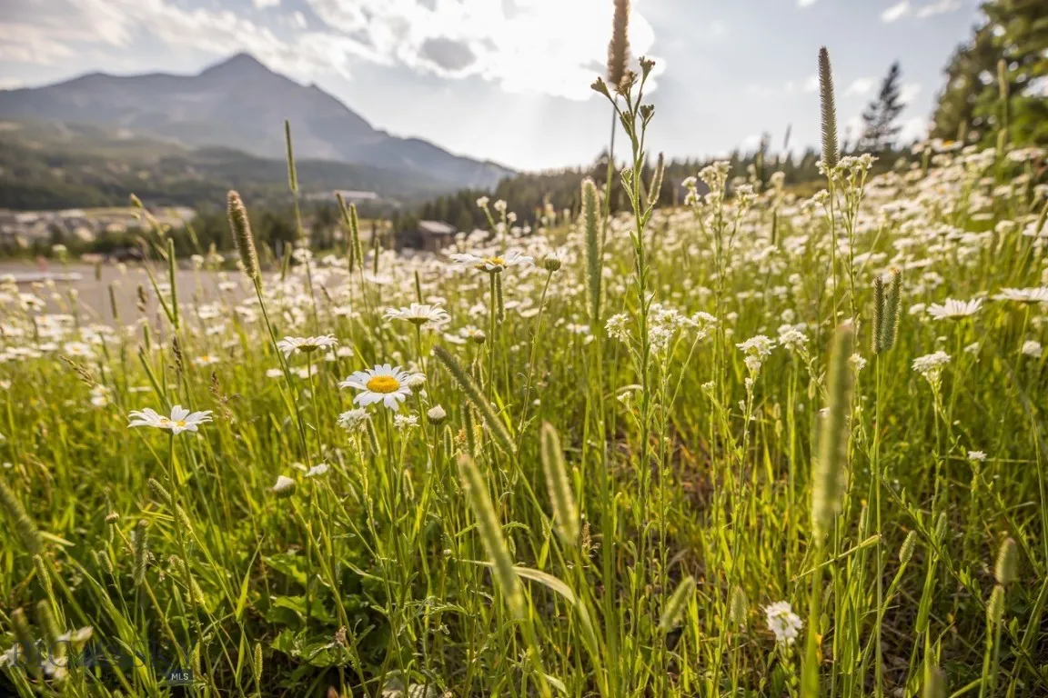 Tbd Washaki Lot 23 Road, Big Sky, Montana 59716, Big Sky, Montana 59716, ,Land,For Sale,Tbd Washaki Lot 23 Road, Big Sky, Montana 59716,0,406445