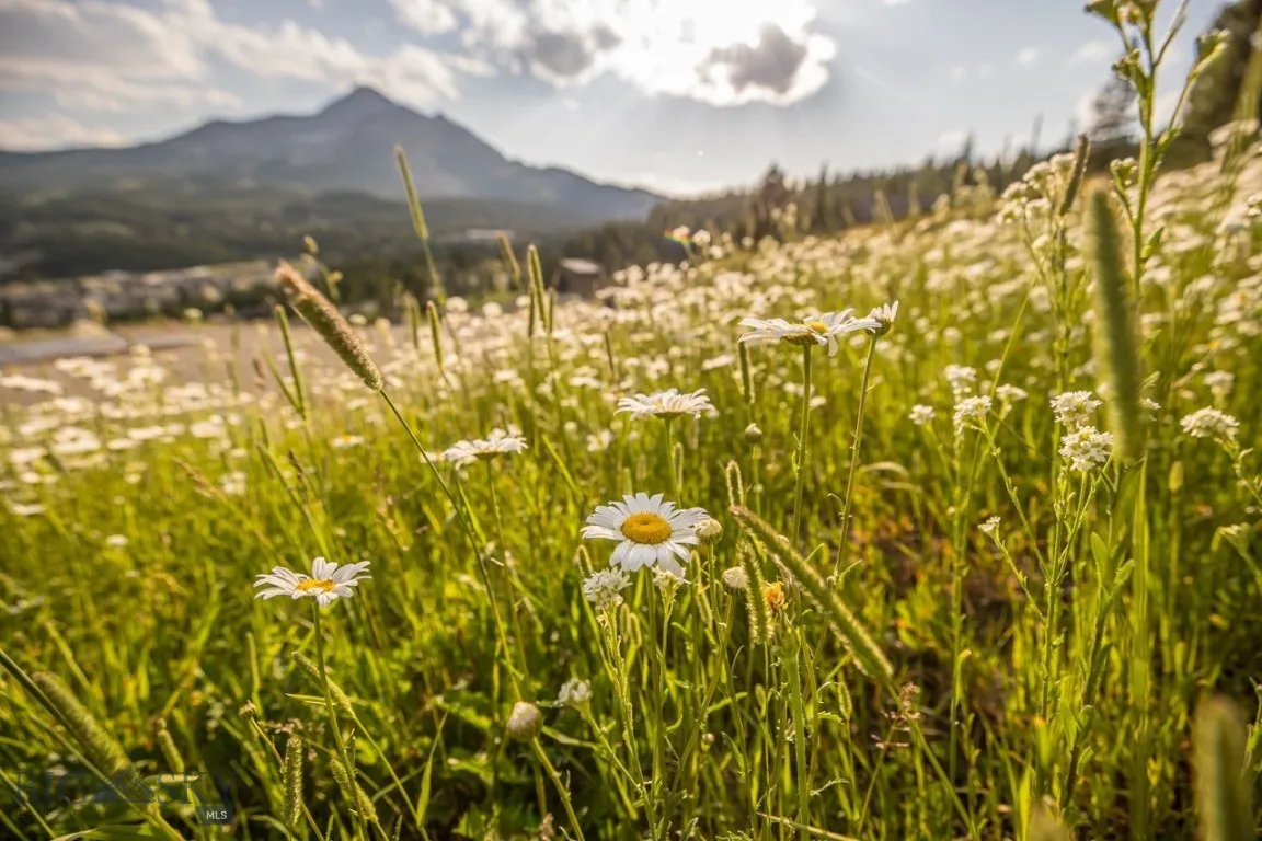 Tbd Washaki Lot 23 Road, Big Sky, Montana 59716, Big Sky, Montana 59716, ,Land,For Sale,Tbd Washaki Lot 23 Road, Big Sky, Montana 59716,0,406445