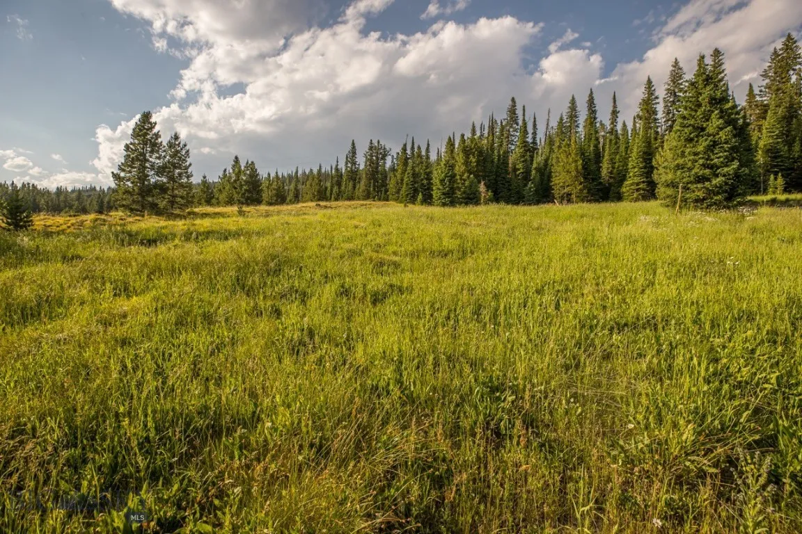 Tbd Washaki Lot 23 Road, Big Sky, Montana 59716, Big Sky, Montana 59716, ,Land,For Sale,Tbd Washaki Lot 23 Road, Big Sky, Montana 59716,0,406445