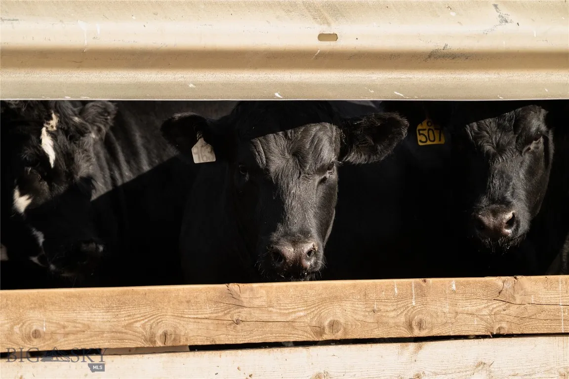 1120 Yellowstone Trail, Deer Lodge, Montana 59722, Deer Lodge, Montana 59722, 3 Bedrooms Bedrooms, ,2 BathroomsBathrooms,Farm,For Sale,1120 Yellowstone Trail, Deer Lodge, Montana 59722,0,406434