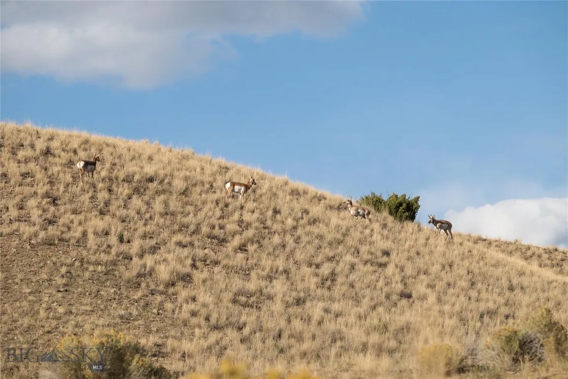 1120 Yellowstone Trail, Deer Lodge, Montana 59722, Deer Lodge, Montana 59722, 3 Bedrooms Bedrooms, ,2 BathroomsBathrooms,Farm,For Sale,1120 Yellowstone Trail, Deer Lodge, Montana 59722,0,406434