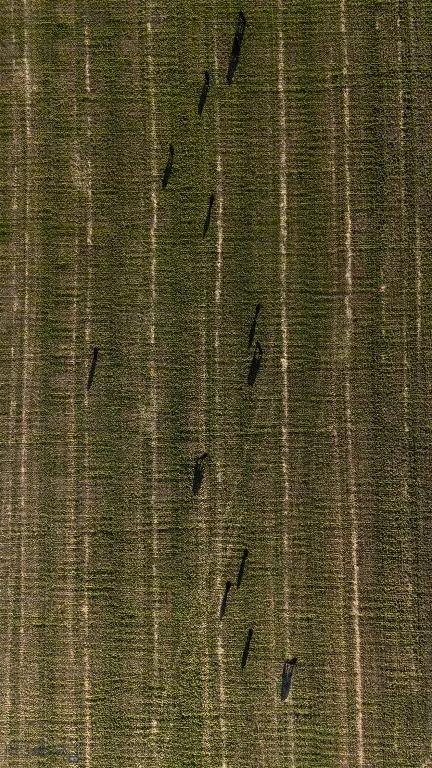 1120 Yellowstone Trail, Deer Lodge, Montana 59722, Deer Lodge, Montana 59722, 3 Bedrooms Bedrooms, ,2 BathroomsBathrooms,Farm,For Sale,1120 Yellowstone Trail, Deer Lodge, Montana 59722,0,406434