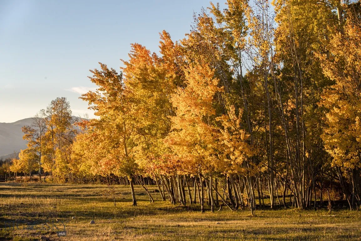 3007 Coyote Creek, Dillon, Montana 59725, Dillon, Montana 59725, 3 Bedrooms Bedrooms, ,2 BathroomsBathrooms,Farm,For Sale,3007 Coyote Creek, Dillon, Montana 59725,0,406303