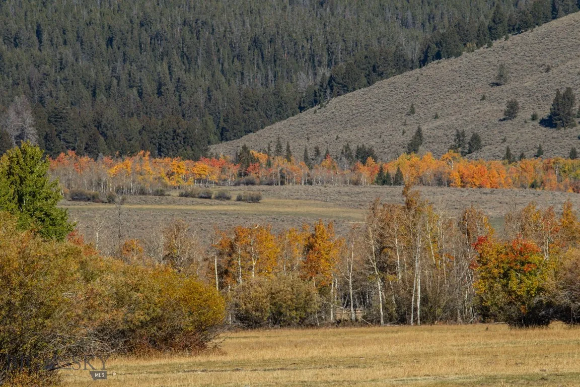 3007 Coyote Creek, Dillon, Montana 59725, Dillon, Montana 59725, 3 Bedrooms Bedrooms, ,2 BathroomsBathrooms,Farm,For Sale,3007 Coyote Creek, Dillon, Montana 59725,0,406303