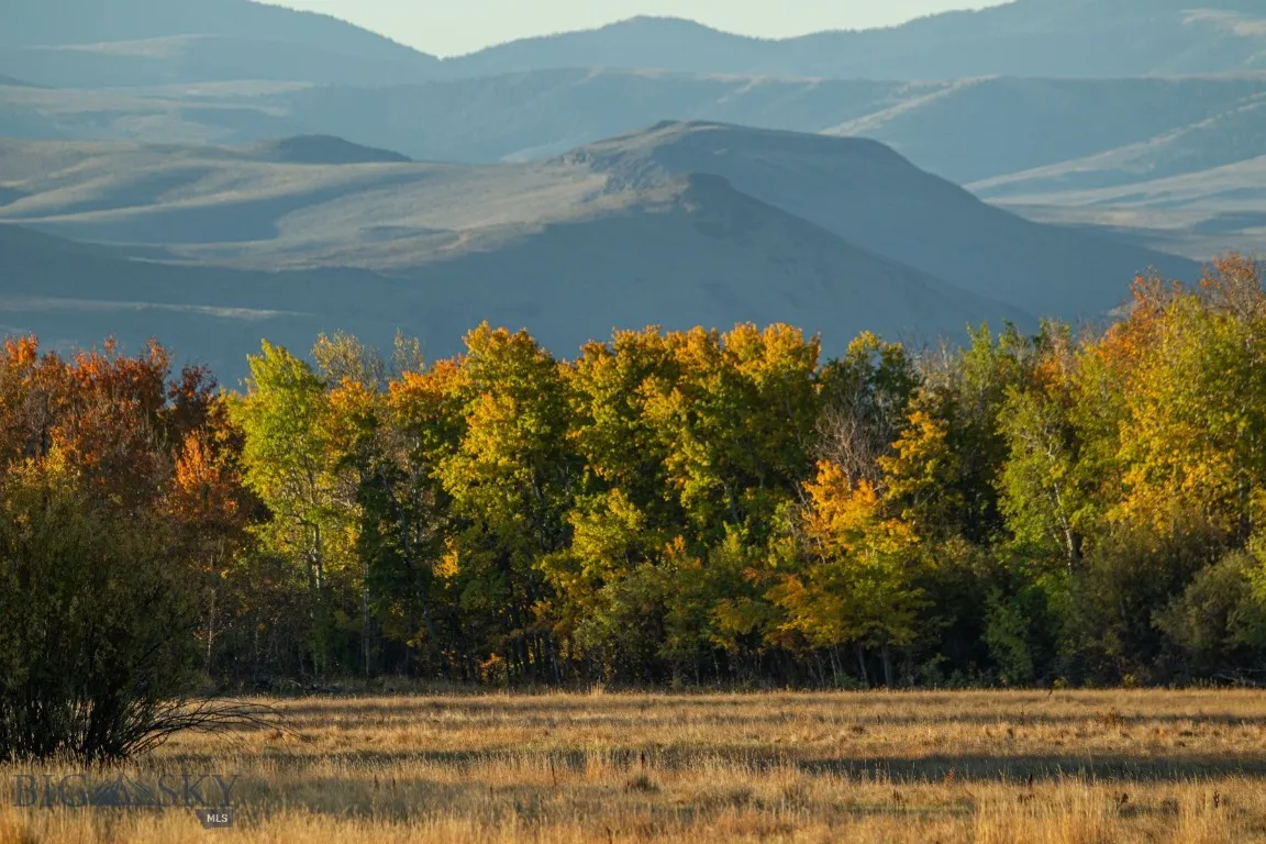 3007 Coyote Creek, Dillon, Montana 59725, Dillon, Montana 59725, 3 Bedrooms Bedrooms, ,2 BathroomsBathrooms,Farm,For Sale,3007 Coyote Creek, Dillon, Montana 59725,0,406303