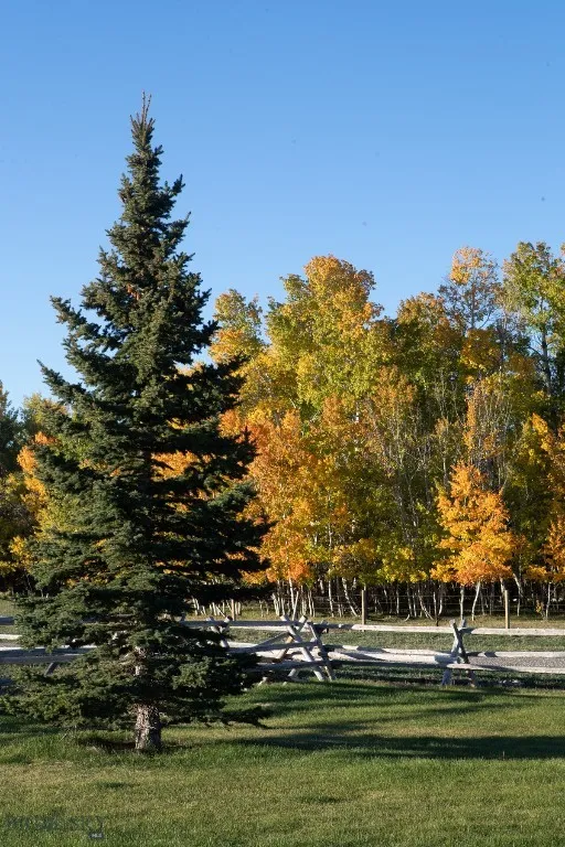 3007 Coyote Creek, Dillon, Montana 59725, Dillon, Montana 59725, 3 Bedrooms Bedrooms, ,2 BathroomsBathrooms,Farm,For Sale,3007 Coyote Creek, Dillon, Montana 59725,0,406303