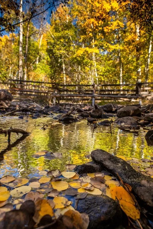 3007 Coyote Creek, Dillon, Montana 59725, Dillon, Montana 59725, 3 Bedrooms Bedrooms, ,2 BathroomsBathrooms,Farm,For Sale,3007 Coyote Creek, Dillon, Montana 59725,0,406303