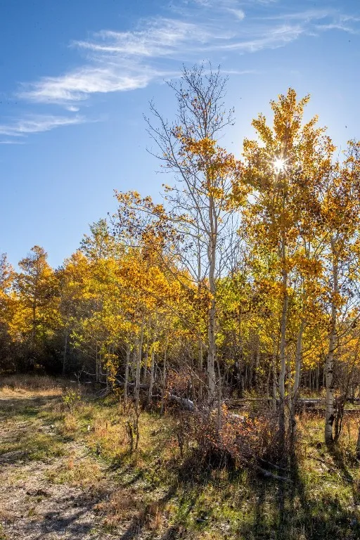3007 Coyote Creek, Dillon, Montana 59725, Dillon, Montana 59725, 3 Bedrooms Bedrooms, ,2 BathroomsBathrooms,Farm,For Sale,3007 Coyote Creek, Dillon, Montana 59725,0,406303