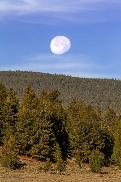 3007 Coyote Creek, Dillon, Montana 59725, Dillon, Montana 59725, 3 Bedrooms Bedrooms, ,2 BathroomsBathrooms,Farm,For Sale,3007 Coyote Creek, Dillon, Montana 59725,0,406303