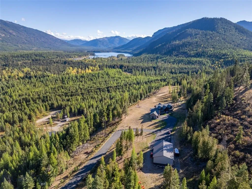 Aerial view of a heavily wooded area and a mountainous background