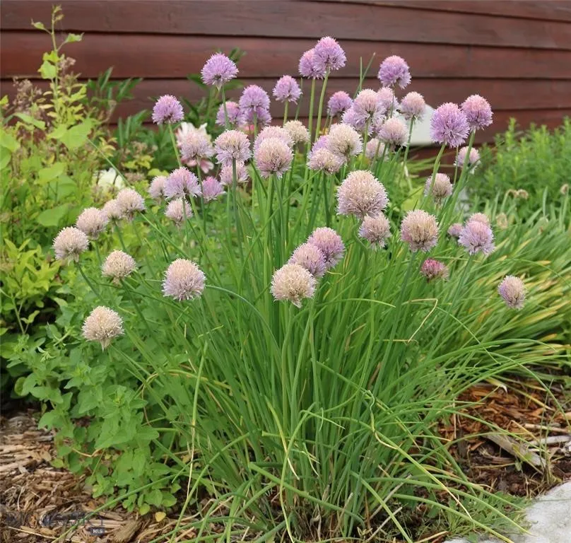 3570 Juniper, Helena, Montana 59602, Helena, Montana 59602, 4 Bedrooms Bedrooms, ,2 BathroomsBathrooms,Residential,For Sale,3570 Juniper, Helena, Montana 59602,0,406490