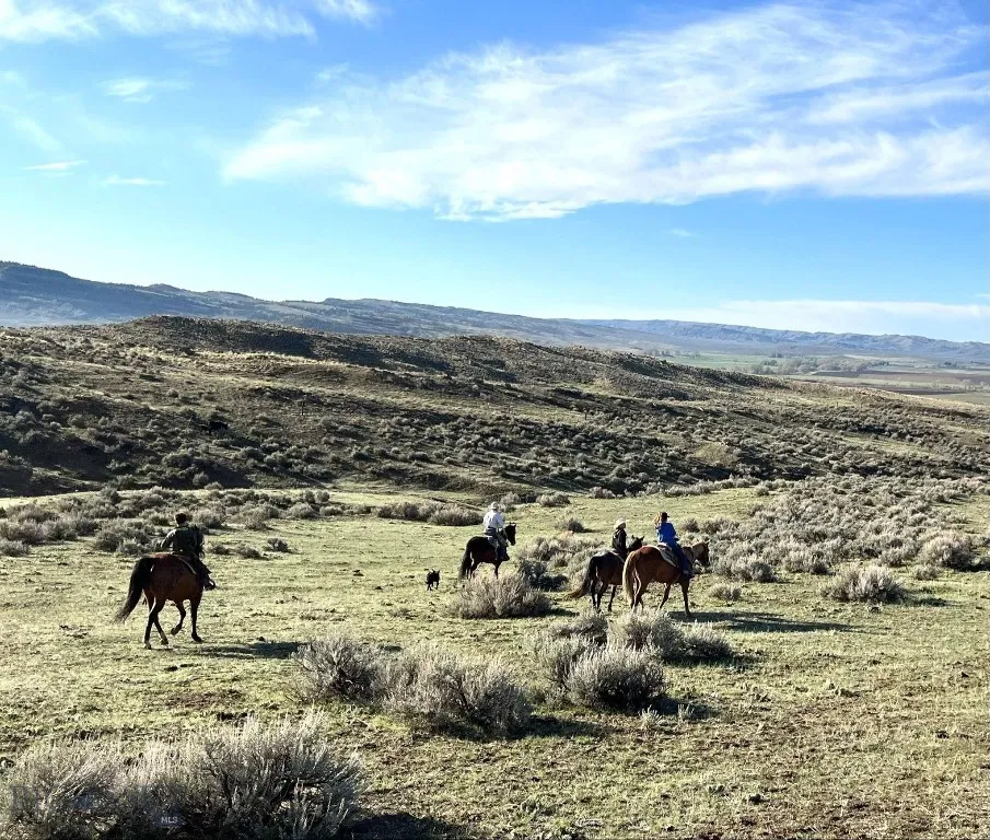 Edgar, Montana 59026, 6 Bedrooms Bedrooms, ,5 BathroomsBathrooms,Farm,For Sale,0,406484