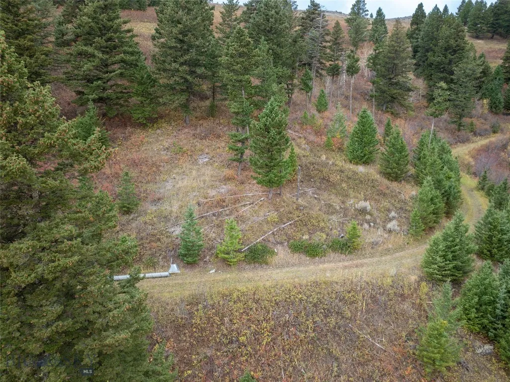 20 Ac Alpine Springs Trail, Livingston, Montana 59, Livingston, Montana 59047, ,Land,For Sale,20 Ac Alpine Springs Trail, Livingston, Montana 59,0,406190
