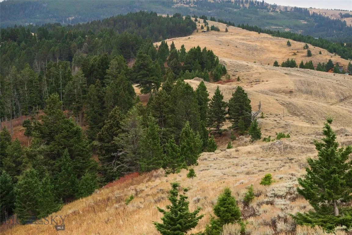20 Ac Alpine Springs Trail, Livingston, Montana 59, Livingston, Montana 59047, ,Land,For Sale,20 Ac Alpine Springs Trail, Livingston, Montana 59,0,406190