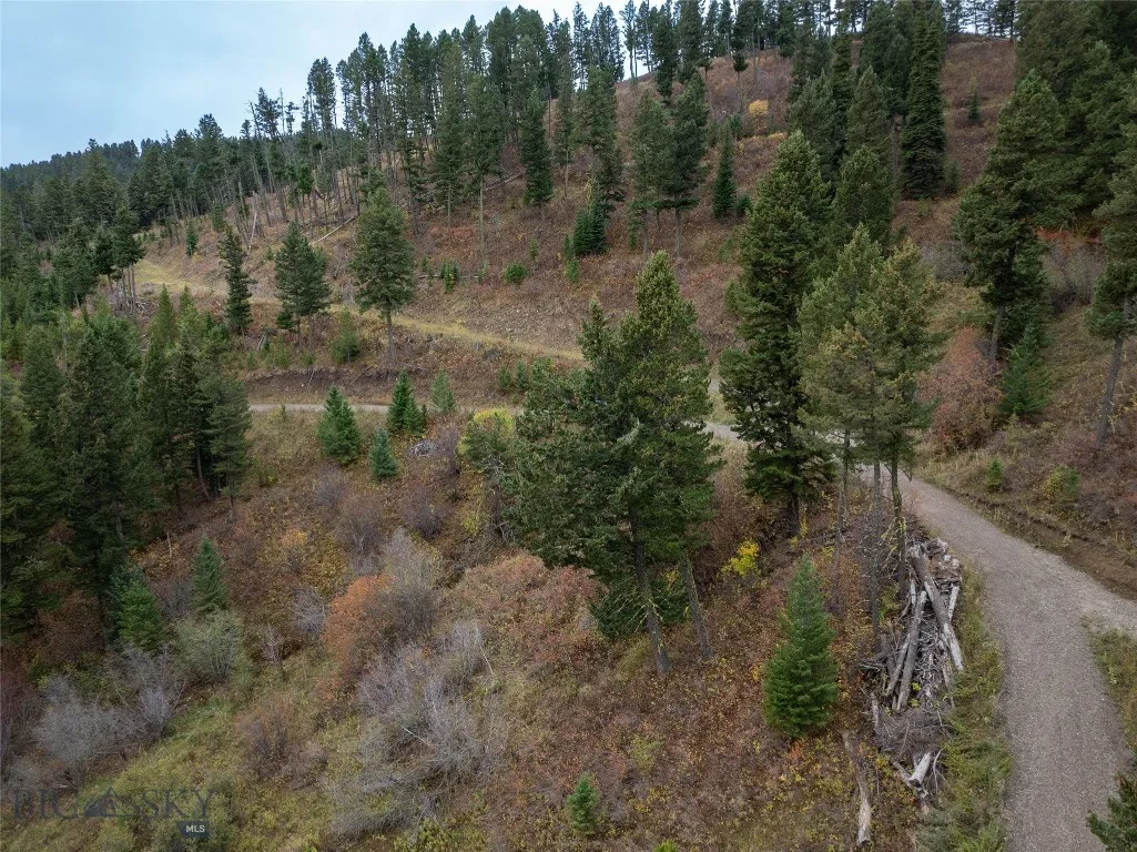 20 Ac Alpine Springs Trail, Livingston, Montana 59, Livingston, Montana 59047, ,Land,For Sale,20 Ac Alpine Springs Trail, Livingston, Montana 59,0,406190
