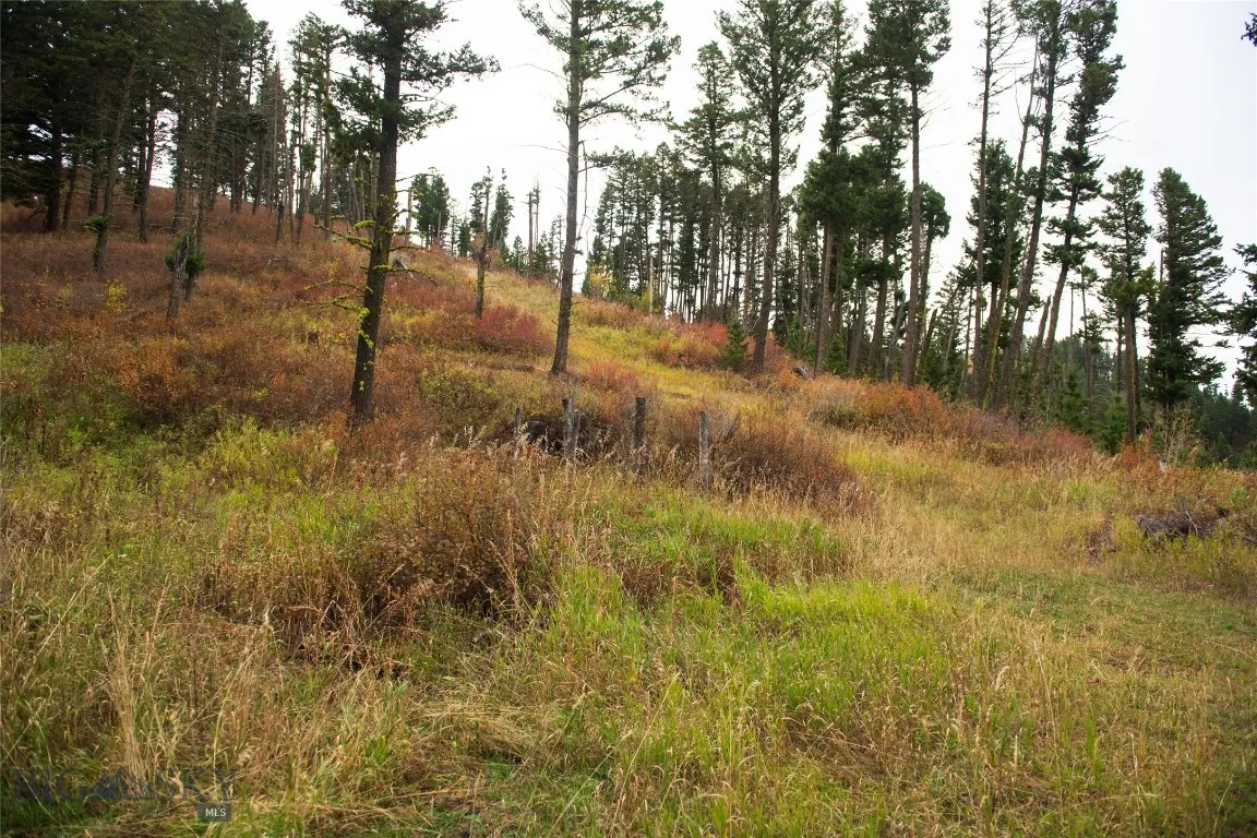20 Ac Alpine Springs Trail, Livingston, Montana 59, Livingston, Montana 59047, ,Land,For Sale,20 Ac Alpine Springs Trail, Livingston, Montana 59,0,406190