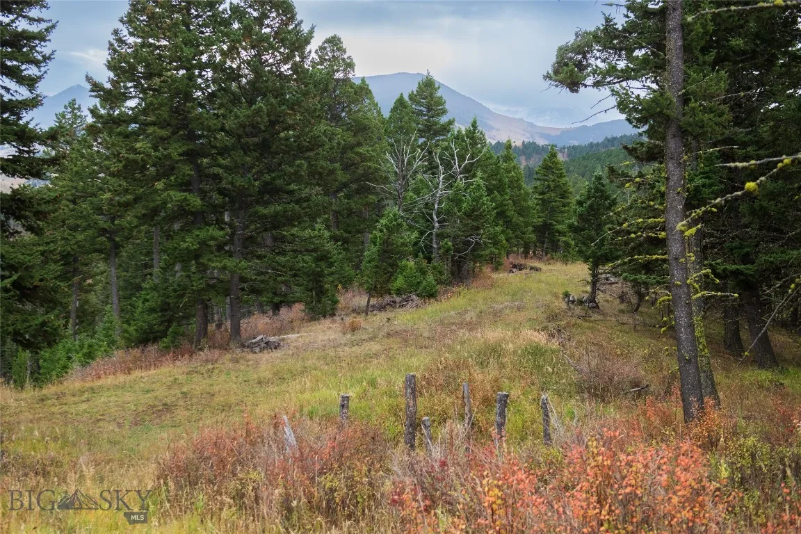 20 Ac Alpine Springs Trail, Livingston, Montana 59, Livingston, Montana 59047, ,Land,For Sale,20 Ac Alpine Springs Trail, Livingston, Montana 59,0,406190