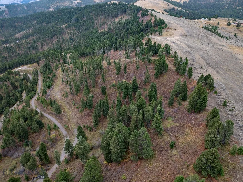 20 Ac Alpine Springs Trail, Livingston, Montana 59, Livingston, Montana 59047, ,Land,For Sale,20 Ac Alpine Springs Trail, Livingston, Montana 59,0,406190