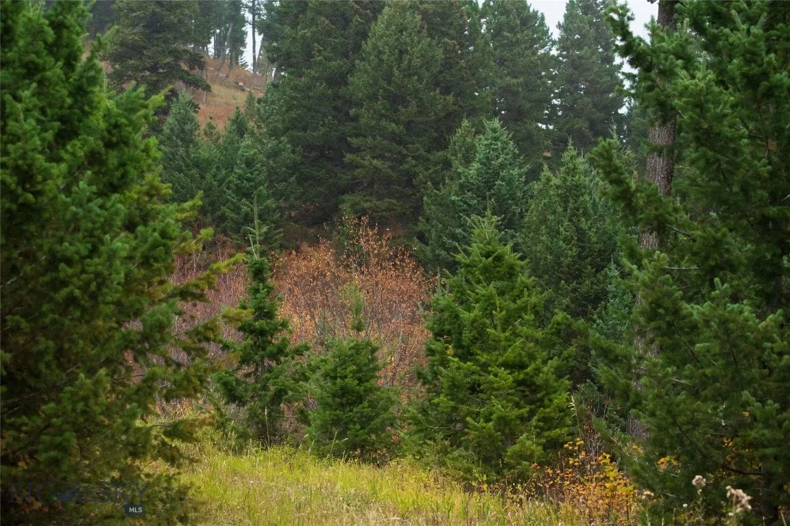 20 Ac Alpine Springs Trail, Livingston, Montana 59, Livingston, Montana 59047, ,Land,For Sale,20 Ac Alpine Springs Trail, Livingston, Montana 59,0,406190