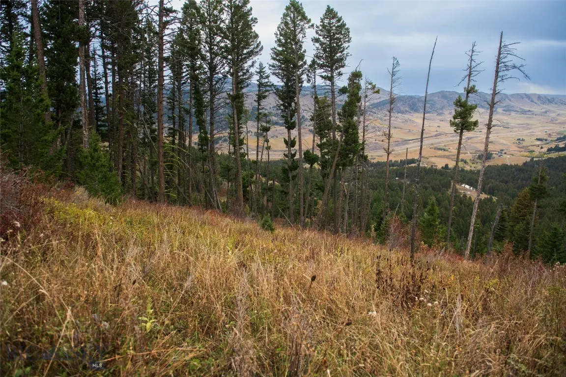 20 Ac Alpine Springs Trail, Livingston, Montana 59, Livingston, Montana 59047, ,Land,For Sale,20 Ac Alpine Springs Trail, Livingston, Montana 59,0,406190