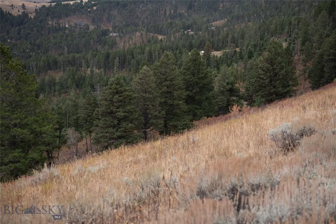 20 Ac Alpine Springs Trail, Livingston, Montana 59, Livingston, Montana 59047, ,Land,For Sale,20 Ac Alpine Springs Trail, Livingston, Montana 59,0,406190