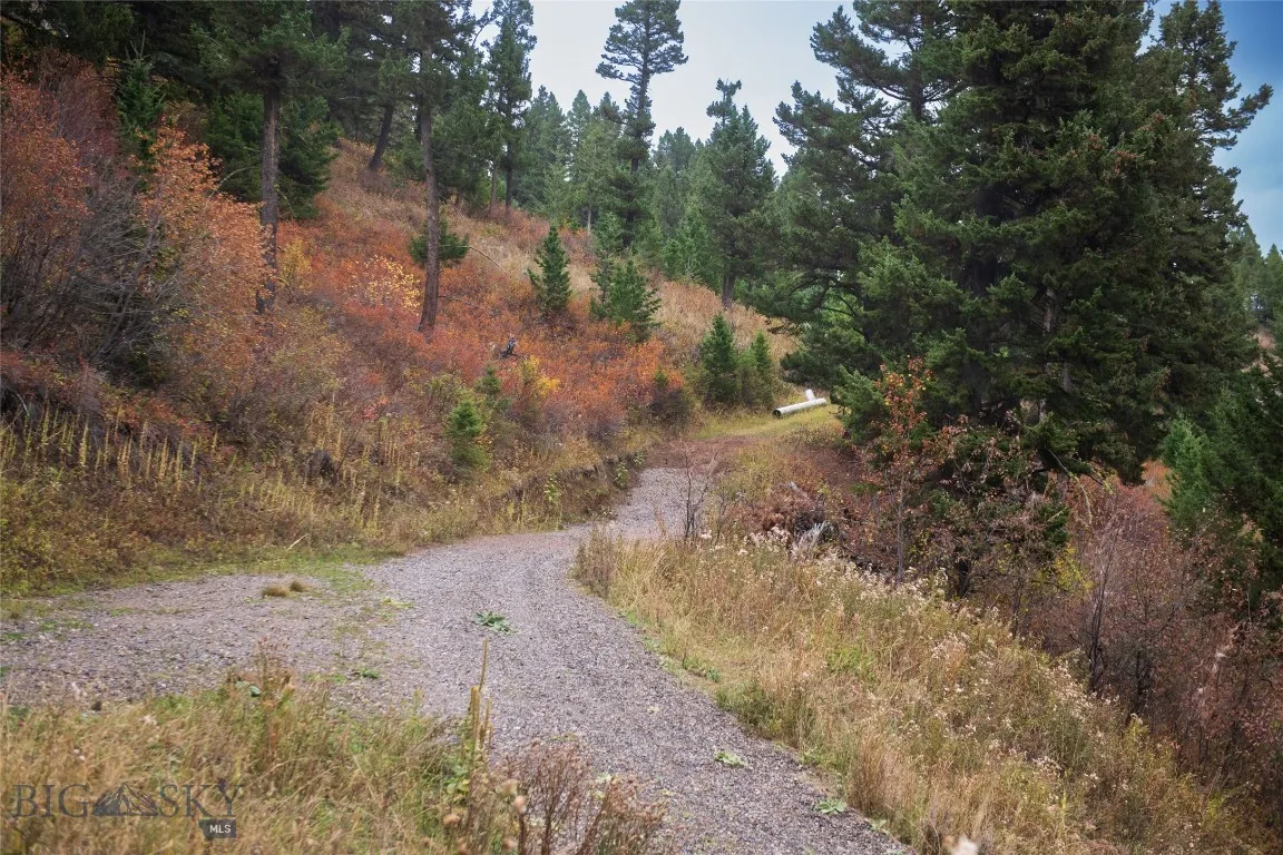 20 Ac Alpine Springs Trail, Livingston, Montana 59, Livingston, Montana 59047, ,Land,For Sale,20 Ac Alpine Springs Trail, Livingston, Montana 59,0,406190