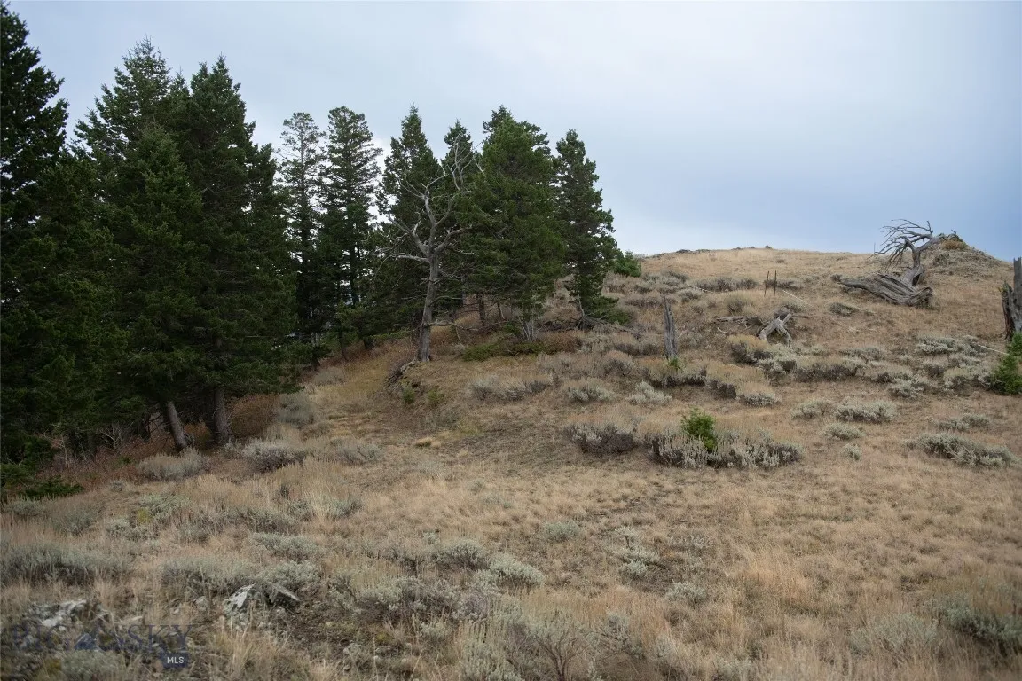 20 Ac Alpine Springs Trail, Livingston, Montana 59, Livingston, Montana 59047, ,Land,For Sale,20 Ac Alpine Springs Trail, Livingston, Montana 59,0,406190