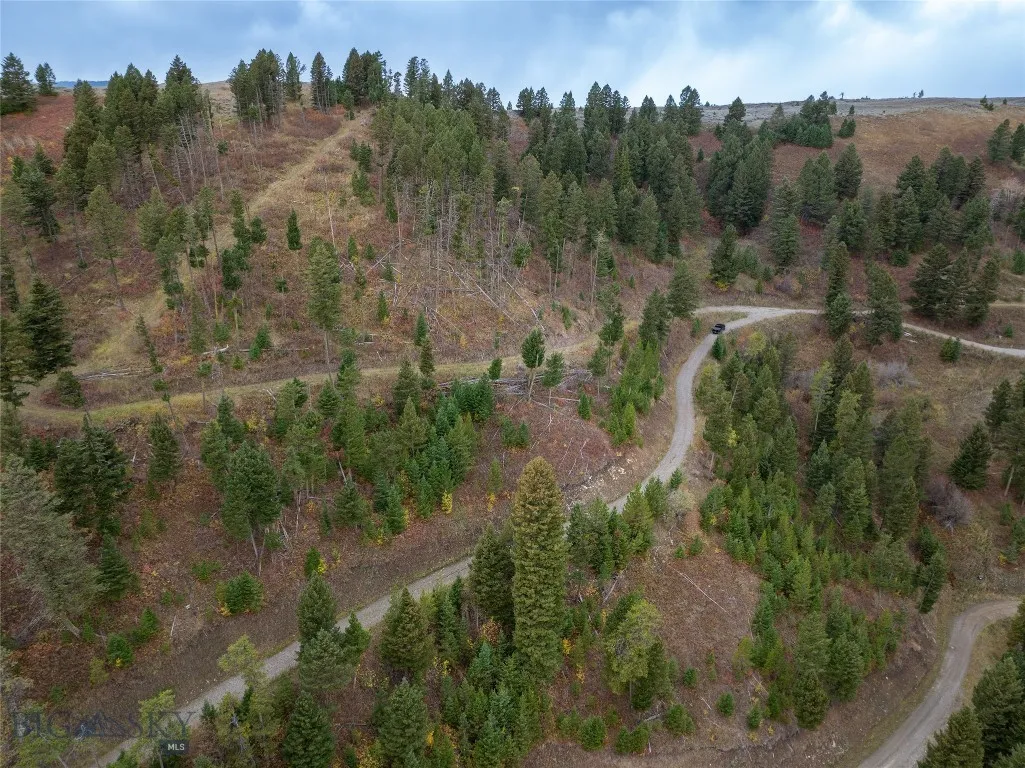 20 Ac Alpine Springs Trail, Livingston, Montana 59, Livingston, Montana 59047, ,Land,For Sale,20 Ac Alpine Springs Trail, Livingston, Montana 59,0,406190