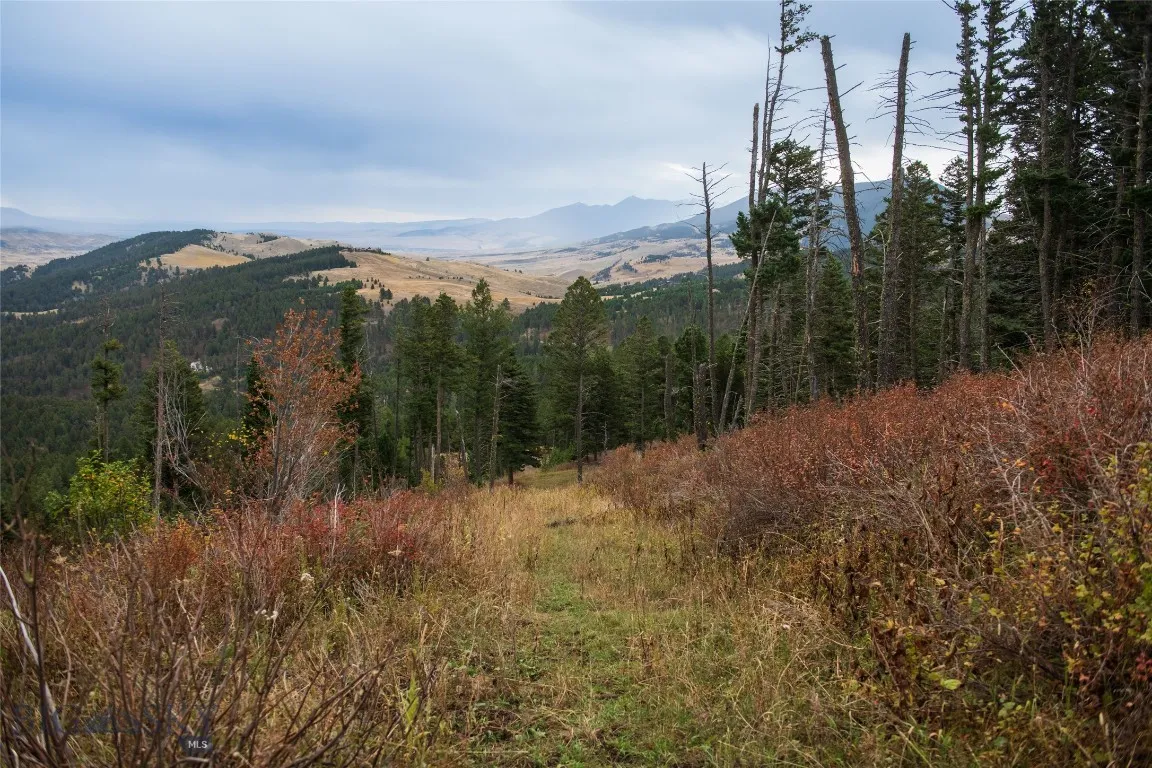 20 Ac Alpine Springs Trail, Livingston, Montana 59, Livingston, Montana 59047, ,Land,For Sale,20 Ac Alpine Springs Trail, Livingston, Montana 59,0,406190