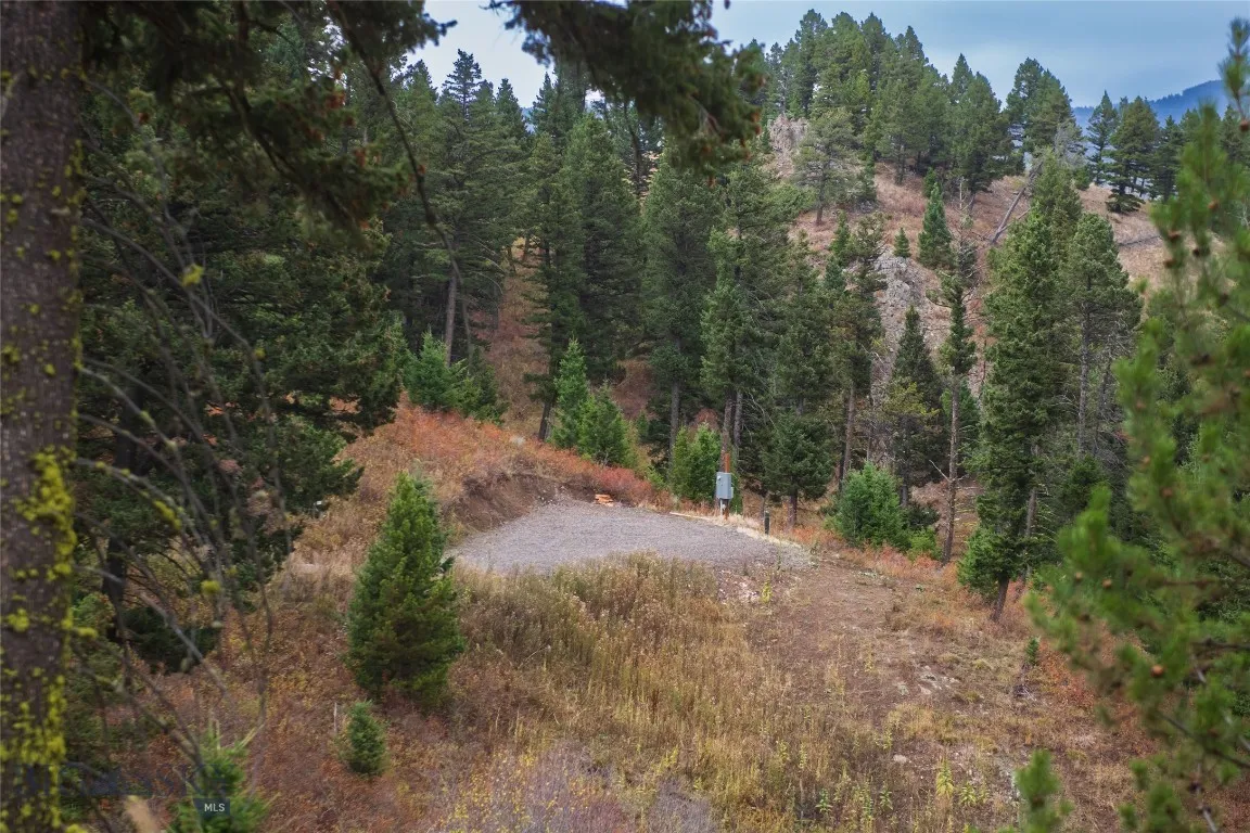 20 Ac Alpine Springs Trail, Livingston, Montana 59, Livingston, Montana 59047, ,Land,For Sale,20 Ac Alpine Springs Trail, Livingston, Montana 59,0,406190