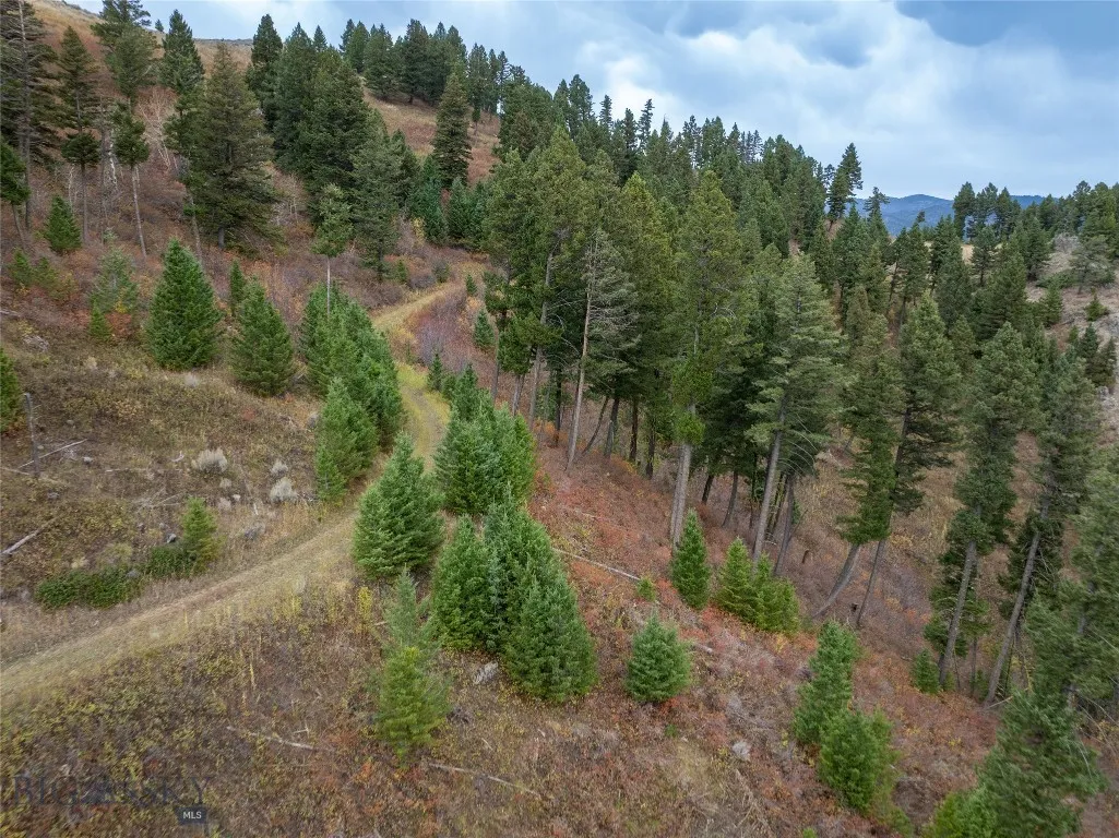 20 Ac Alpine Springs Trail, Livingston, Montana 59, Livingston, Montana 59047, ,Land,For Sale,20 Ac Alpine Springs Trail, Livingston, Montana 59,0,406190