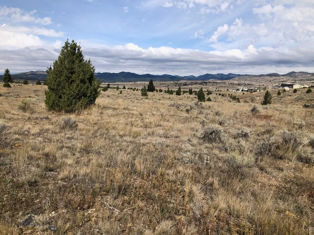Tbd Indian Paint Brush Road, Butte, Montana 59701, Butte, Montana 59701, ,Land,For Sale,Tbd Indian Paint Brush Road, Butte, Montana 59701,0,406537