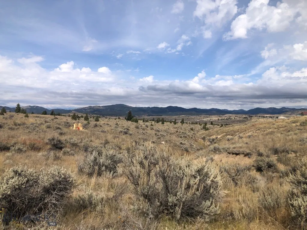 Tbd Indian Paint Brush Road, Butte, Montana 59701, Butte, Montana 59701, ,Land,For Sale,Tbd Indian Paint Brush Road, Butte, Montana 59701,0,406537