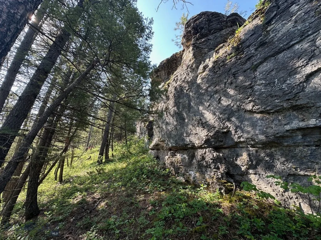 Nhn Lot 1 Highway 89 N, Monarch, Montana 59463, Monarch, Montana 59463, ,Land,For Sale,Nhn Lot 1 Highway 89 N, Monarch, Montana 59463,0,406558